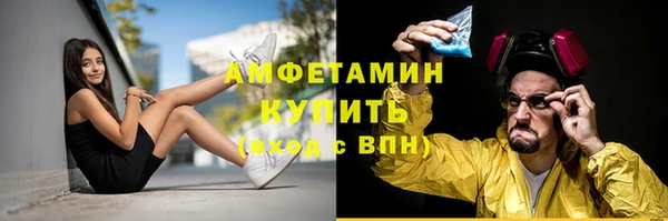 гидра Володарск