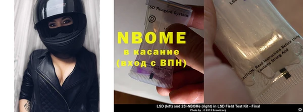 гидра Володарск