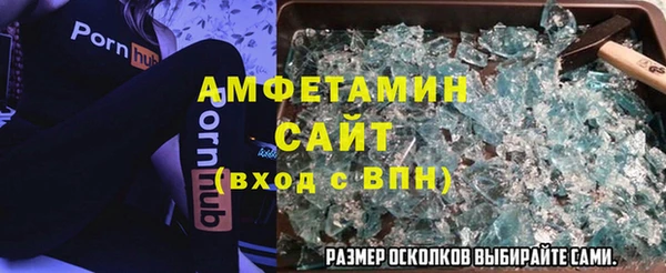 гидра Володарск