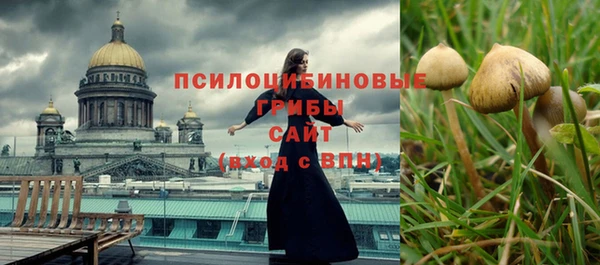 гидра Володарск