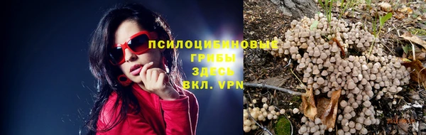2c-b Волосово