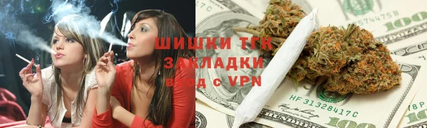 гидра Володарск