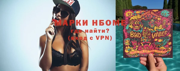 гидра Володарск