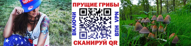 Купить где  Кондрово  Галлюциногенные грибы ЛСД 